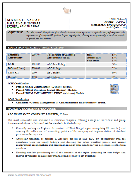 Indian chartered accountant resume format